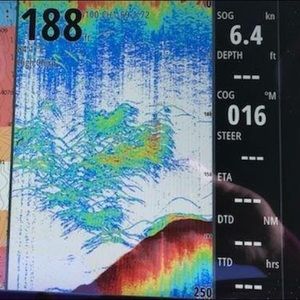 Meet your Posher, Carson